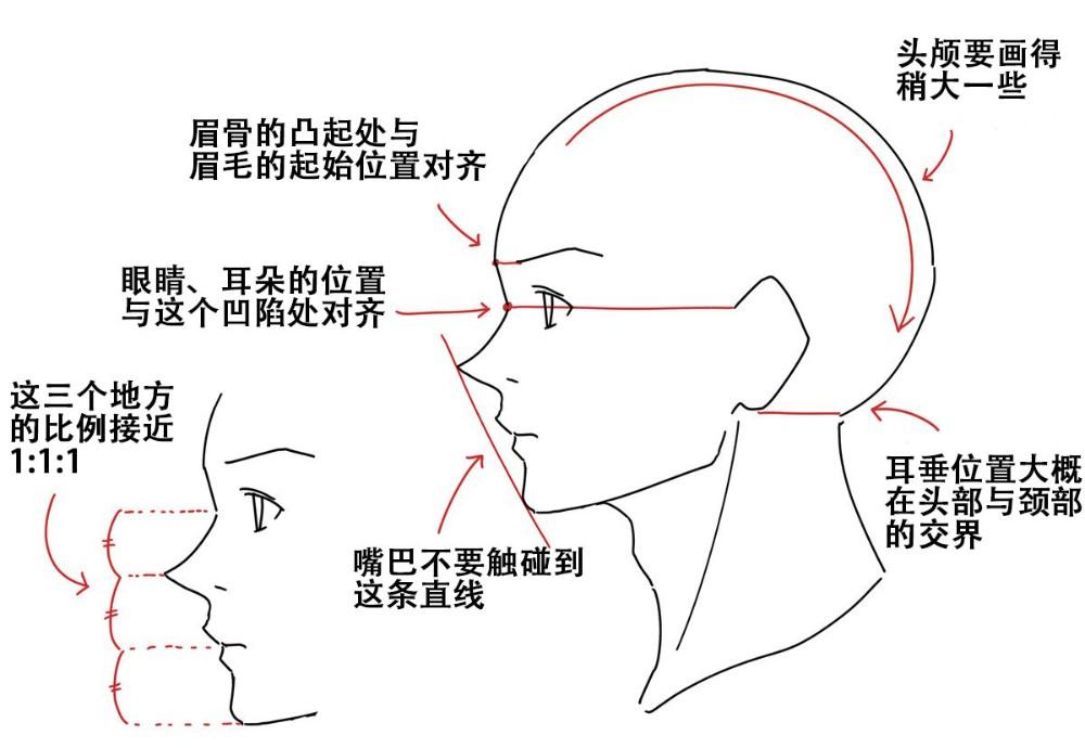 侧脸怎么画的教程的图片